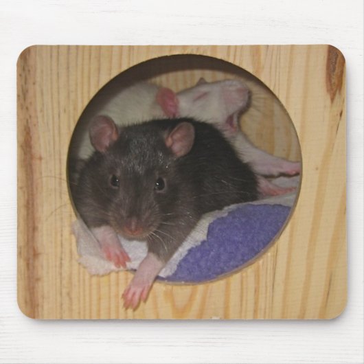 Rat Mousepad Muismat (Voorkant)