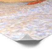 Rat Nap Print Print (Hoek)