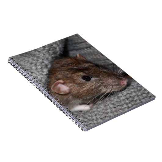 Rat notebook notitieboek (Rechterzijde)