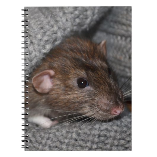 Rat notebook notitieboek (Voorkant)