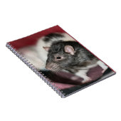 Rat Notitieboek (Rechterzijde)