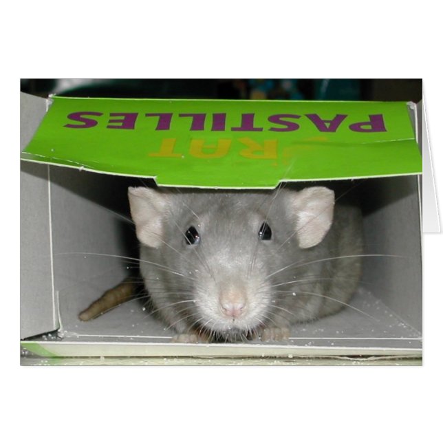 Rat Pastilles (Voorkant Horizontaal)