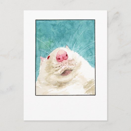 Rat Pet Selfie- DNM Briefkaarten (Voorkant)