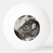 Rat Pingpongbal (Achterkant)