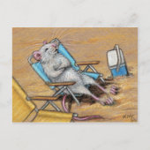Rat relaxen op het Briefkaart van de Beach (Voorkant)