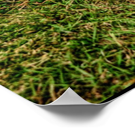 Rat Rod Poster (Hoek)