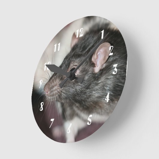 Rat Ronde Klok (Hoek)