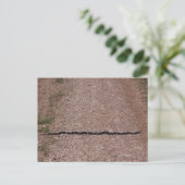 Rat Snake Briefkaart (Staand voorkant)