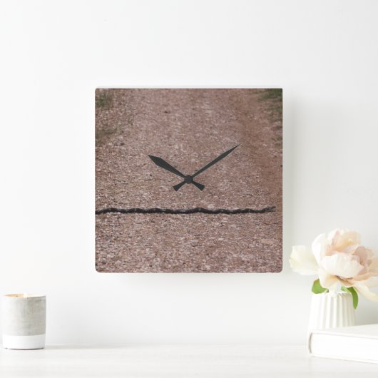 Rat Snake Klok (Huis)