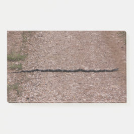 Rat Snake Post-it® Notes