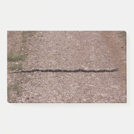 Rat Snake Post-it® Notes (Voorkant)