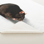 Rat subcna sherpa deken (3/4)