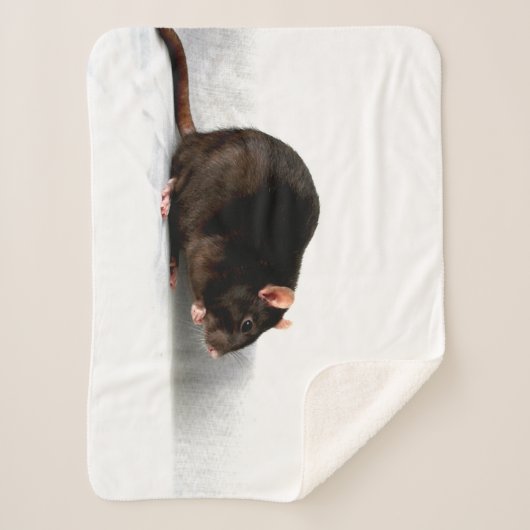 Rat subcnm sherpa deken (Voorkant)