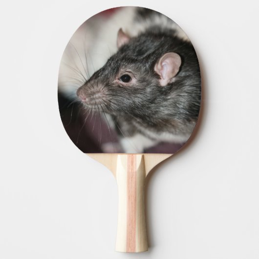 Rat Tafeltennisbatje (Voorkant)