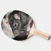 Rat Tafeltennisbatje (Zijkant)