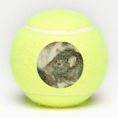 Rat Tennisballen (Achterkant)