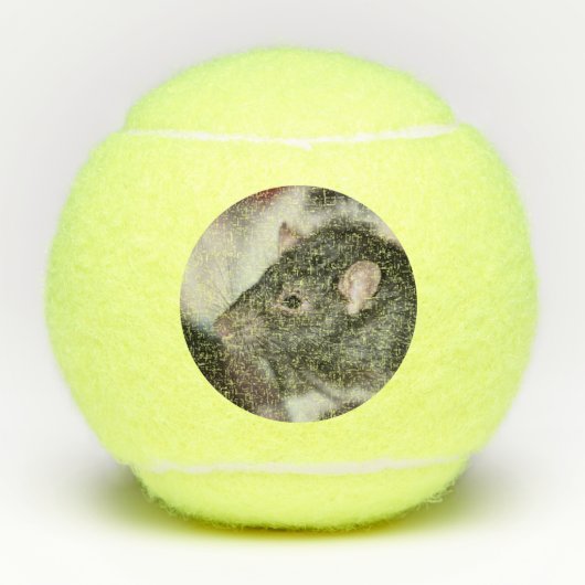 Rat Tennisballen (Voorkant)