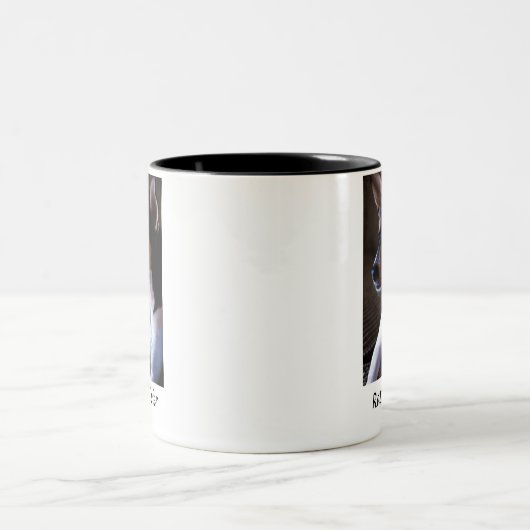 Rat Terrier 2 Mok (Center)