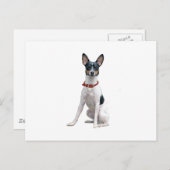 Rat Terrier (A) Briefkaart (Voorkant / Achterkant)