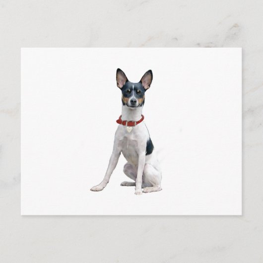 Rat Terrier (A) Briefkaart (Voorkant)