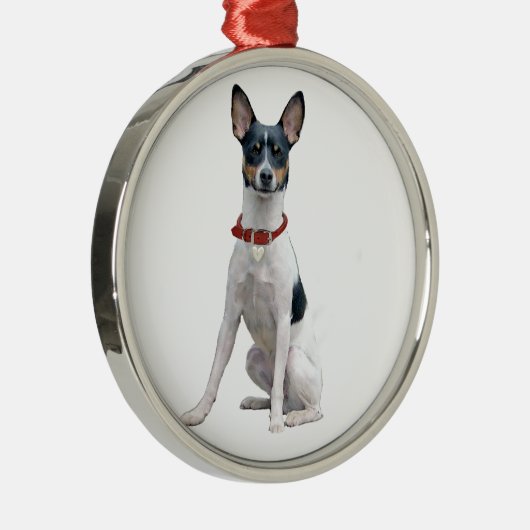 Rat Terrier (A) Metalen Ornament (Rechts)