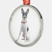 Rat Terrier (A) Metalen Ornament (Links)
