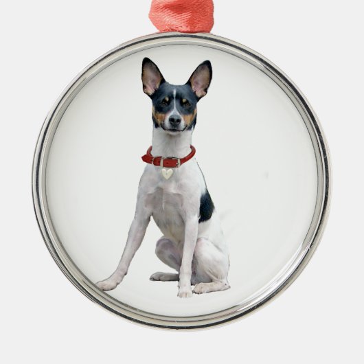 Rat Terrier (A) Metalen Ornament (Voorkant)