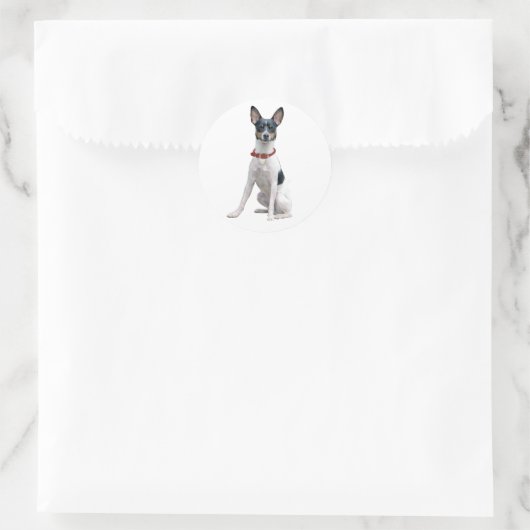 Rat Terrier (A) Ronde Sticker (Tas)