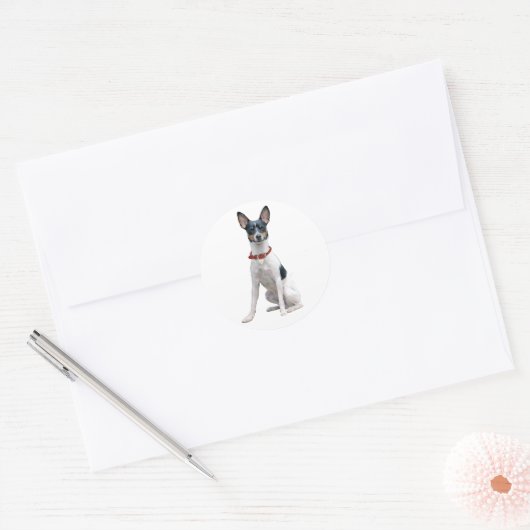Rat Terrier (A) Ronde Sticker (Envelop)