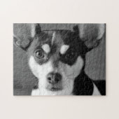 Rat Terrier, Black and White Legpuzzel (Horizontaal)