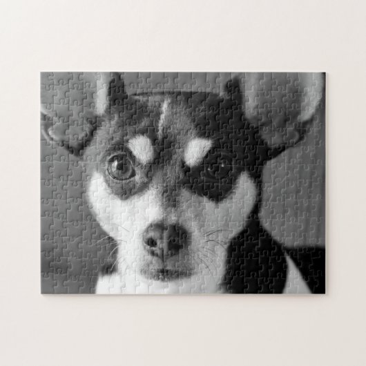Rat Terrier, Black and White Legpuzzel (Horizontaal)