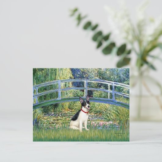 Rat Terrier - Brug Briefkaart (Staand voorkant)