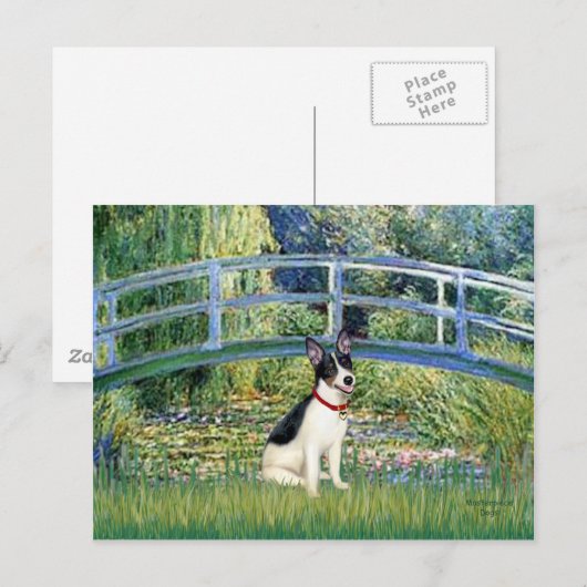 Rat Terrier - Brug Briefkaart (Voorkant / Achterkant)