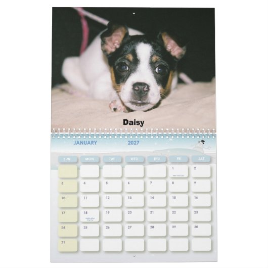 Rat Terrier Calendar 2007 Kalender (Jan 2027)