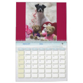 Rat Terrier Calendar 2007 Kalender (Feb 2026)