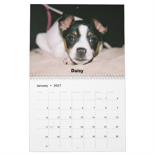 Rat Terrier Calendar Kalender (Jan 2027)