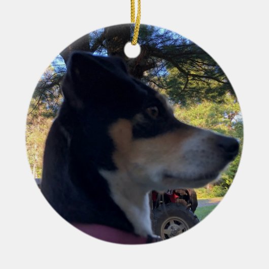 RAT TERRIER DOG CHRISTMAS ORNAMENT (Voorkant)