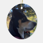 RAT TERRIER DOG CHRISTMAS ORNAMENT (Links)