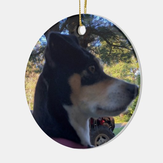 RAT TERRIER DOG CHRISTMAS ORNAMENT (Links)