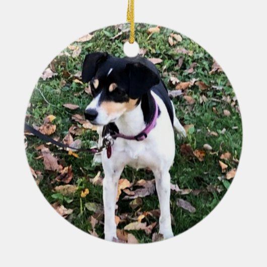 RAT TERRIER DOG CHRISTMAS ORNAMENT (Achterkant)