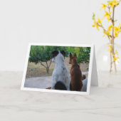 Rat Terrier en Miniature Pinscher Kaart (Gele Bloem)