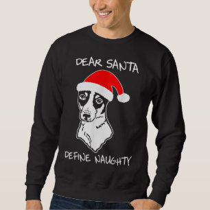 Rat Terrier grappige kerstcadeautjes voor hondenli Trui