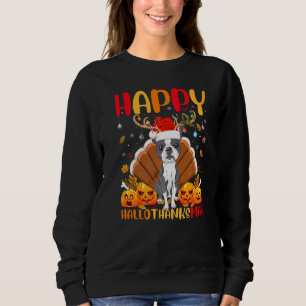 Rat Terrier Hond Gelukkige Rat Terrier Hellothank Trui