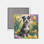 Rat Terrier Hond Spring Bloemen Schilderen Magneet (Voorkant / Achterkant)