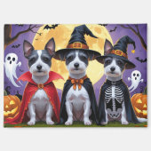 Rat Terrier Honden Pompoen Halloween Grappig Magneet (Voorkant)