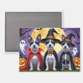 Rat Terrier Honden Pompoen Halloween Grappig Magneet (Voorkant / Achterkant)
