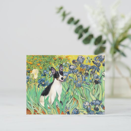 Rat Terrier - Irises Briefkaart (Staand voorkant)