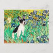 Rat Terrier - Irises Briefkaart (Voorkant)