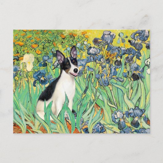Rat Terrier - Irises Briefkaart (Voorkant)