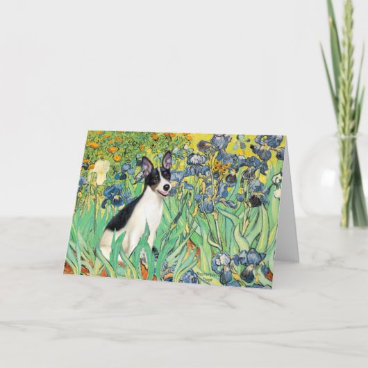 Rat Terrier - Irissen Kaart (Voorkant)